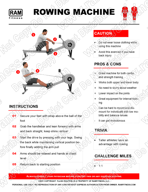 Free Rowing Machine Guide Pros, Cons, Instructions, Sample Workouts