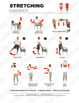 Free Printable Stretching exercises for Older Senior Adults.