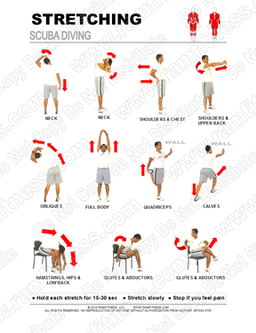 Free Printable Stretching Routine for Scuba Divers and Scuba Diving.  Stretching at School. Sports Stretching.