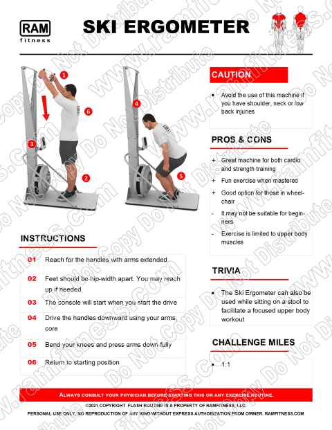 Free Ski Erg Machine Guide Pros, Cons, Instructions, Sample Workouts