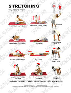 Free Printable Stretching Guide for Low Back and Core