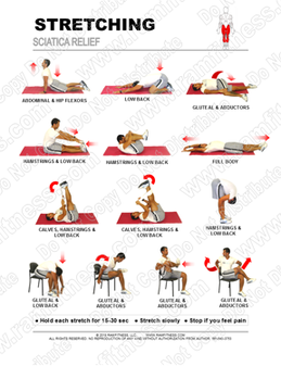 Printable Sciatica Stretches And Exercise Pdf