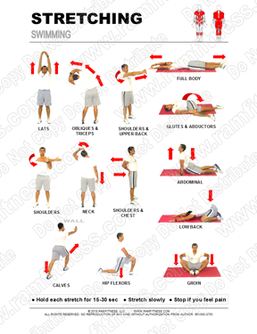Free Printable Stretching Routine for Swimmers.  Stretching at School. Sports Stretching.