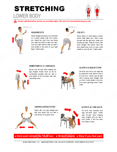 Lower Body Stretches