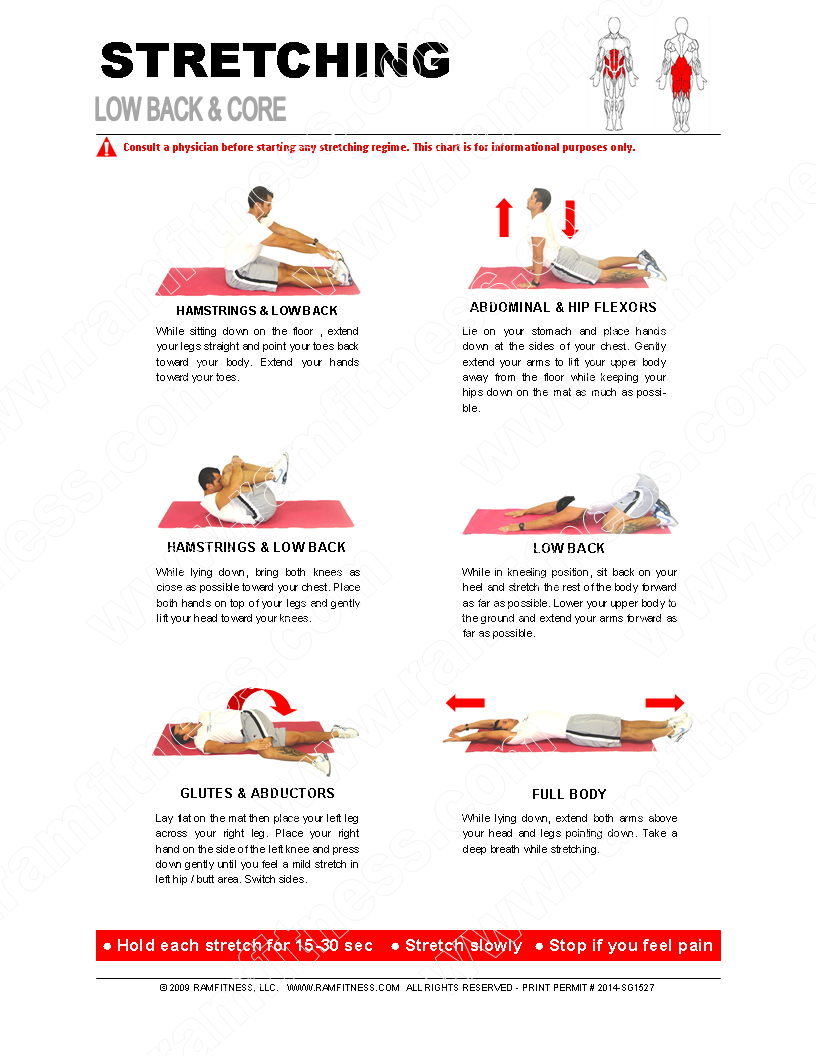 Low Back & Core Stretches