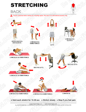 Free Printable Stretching Guide for the Back muscles